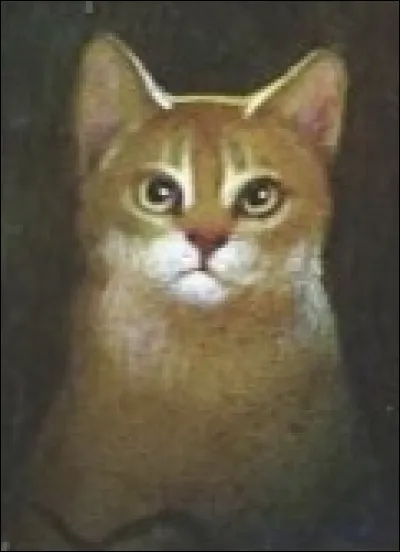 Quel est le grade dÉcorce de Chêne ?