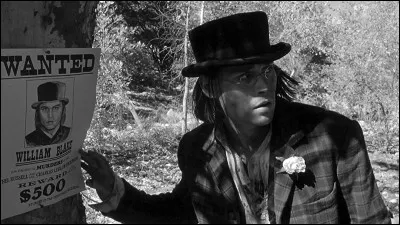 Cette image est visible dans...