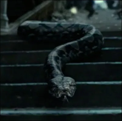 Qui tue Nagini ?