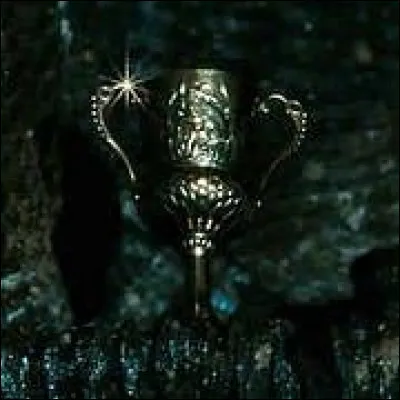 Quel mal&eacute;fice prot&egrave;ge la coupe de Poufsouffle ?