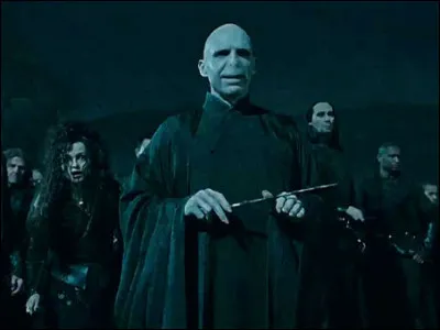 Combien de temps Voldemort donne-t-il aux &eacute;l&egrave;ves et aux professeurs de Poudlard pour livrer Harry ?