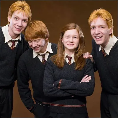 Quelle famille préfères-tu ?