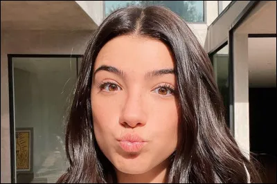 Charli D'Amelio était en couple avec :