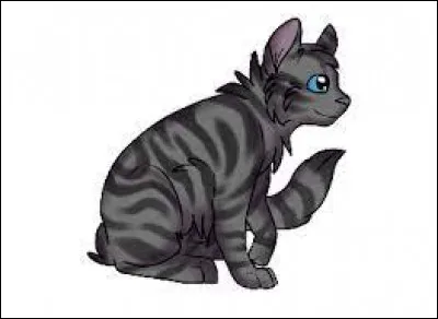 Qui est Aile de Geai ?