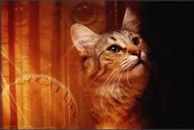 Quel est le pouvoir de Pelage de Lion ?