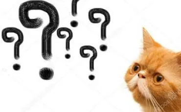Quiz Animaux