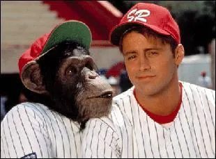 Quelle est la particularit d' Ed, le chimpanz :