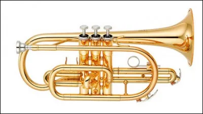 Quel est cet instrument ?
