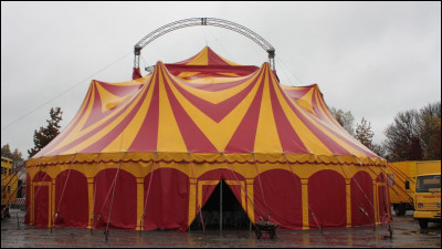 Comment sappelle la personne qui passe de trapèze en trapèze au cirque ?