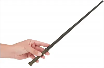En quoi est faite la baguette de Harry Potter ?