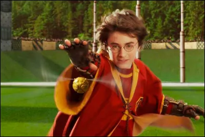 Quel est le poste de Quidditch de Harry Potter ?