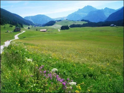 Remontons encore un peu vers les Alpes du Nord et nous voici en Haute-Savoie. Quel est ce site à la fois naturel et historique, haut lieu de la Résistance durant la Seconde Guerre mondiale, principalement durant l'hiver 1943-1944 ?