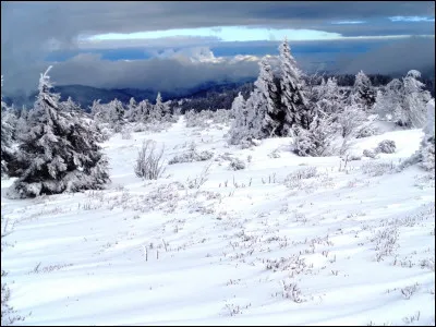 Direction l'est. Voici un paysage hivernal de la réserve naturelle du Gazon du Faing, le long de la route des Crêtes. Dans quel département sommes-nous ?