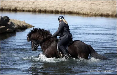 Ils servent au gardiennage des�