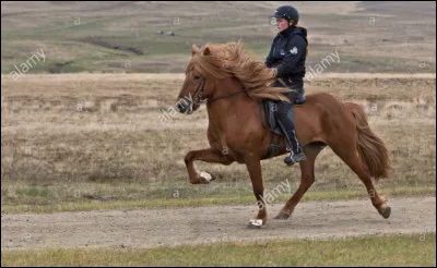 En quelle ann&eacute;e, une loi interdisant aux islandais partis d’Islande de revenir dans leur pays, est-elle mise en vigueur ?