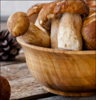 Aimes-tu ramasser les champignons ?