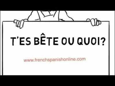 Si quelqu'un te dit que tu es bête, comment le prends-tu ?