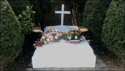 Si tu pouvais choisir ton âge, tu aurais...