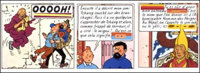 Y'est-i' ou y'est-i' pas ? &Agrave; plusieurs reprises dans "Tintin au Tibet", il est fait allusion &agrave; quelque chose de terrifiant et quelque peu surnaturel : de quoi s'agit-il ?