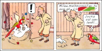 Milou a beau &ecirc;tre un rien bagarreur, il n'en est pas moins courageux... Mais que risque-t-il d'attraper ?
