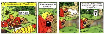 Haddock a droit &agrave; un dr&ocirc;le de r&eacute;veil ! Quel animal est-ce donc ?