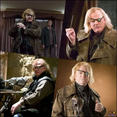 Quel membre de l'Ordre du Phénix préfères-tu ?