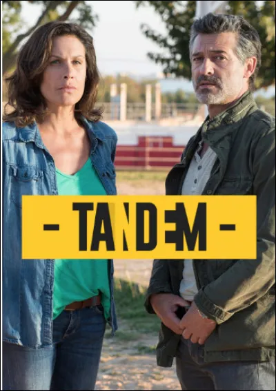 Qui est cette Astrid, héroïne de la série policière "Tandem" qui compte 6 saisons et 60 épisodes ?