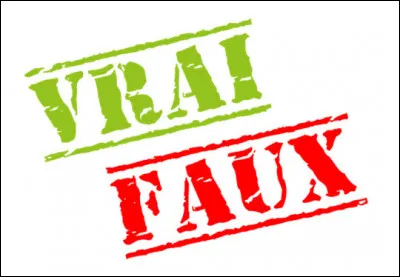 Vrai ou faux ? Le jeu a été accusé de plagiat.