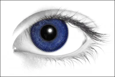 Est-ce que l'on peut voir son perso ?