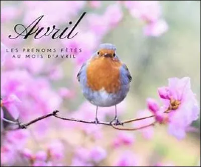 Et maintenant, comment se dit "Avril" ?