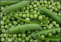 Comment dit-on 'petit pois' en anglais ?