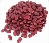 Comment dit-on 'haricot rouge' en anglais ?