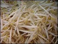 Comment dit-on 'soja' en anglais ?