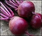 Comment dit-on 'betterave' en anglais ?