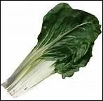 Comment dit-on 'blette' en anglais ?