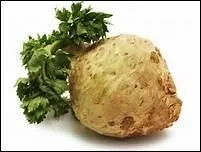 Comment dit-on 'cleri rave' en anglais ?