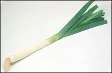 Comment dit-on 'poireau' en anglais ?