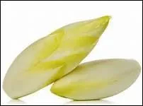 Comment dit-on 'endive' en anglais ?