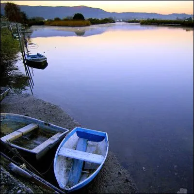 Quel fleuve forme une partie de la fronti&egrave;re entre la France et l�Espagne avant de se jeter dans le golfe de Gascogne ?