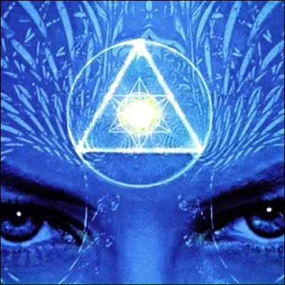 Quel l&eacute;zard originaire d�Am&eacute;rique, dot&eacute; d�un troisi&egrave;me �il, peut &ecirc;tre antillais, rhinoc&eacute;ros ou vert ?