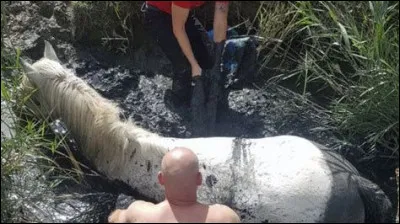 Quand ce n'est pas un bateau, qu'est-ce qu'une galère ?