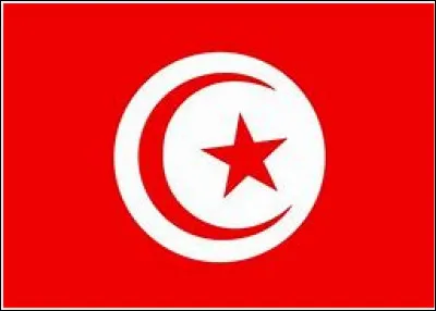 Quel pays a ce drapeau ?