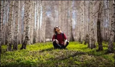 Penses-tu savoir t'orienter grâce à la nature ? (le vent, la position du Soleil, etc.)