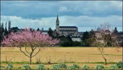 Ville de l'aire urbaine Orléanaise, Baule se situe dans le département ...