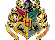 Test Qui serais-tu dans ''Harry Potter'' (masculin) ?