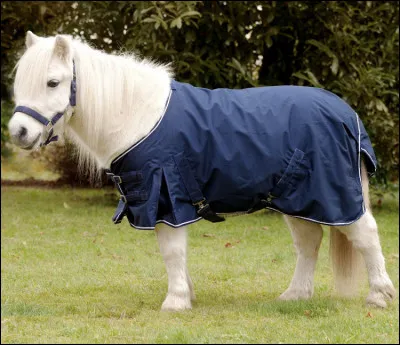 Il est souvent confondu avec