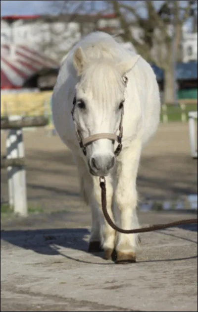 Quelle robe nest pas acceptée ?
