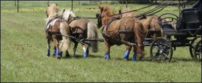 Combien y a-t-il de naissances par an au Royaume-Uni ?
