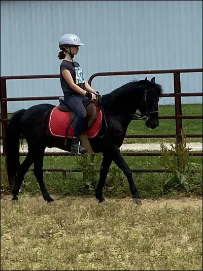 Où se trouve le garrot ?