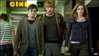 Pourquoi décide-t-elle de renoncer à sa dernière année à Poudlard ?